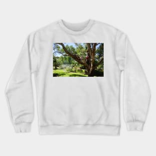 Shady Retreat -Adelaide Hills Wine Region - Fleurieu Peninsula by South Australian artist Avril Thomas Crewneck Sweatshirt